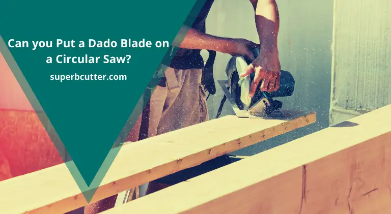 Can you Put a Dado Blade on a Circular Saw?