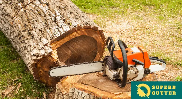 a chainsaw resting after cutting a huge log